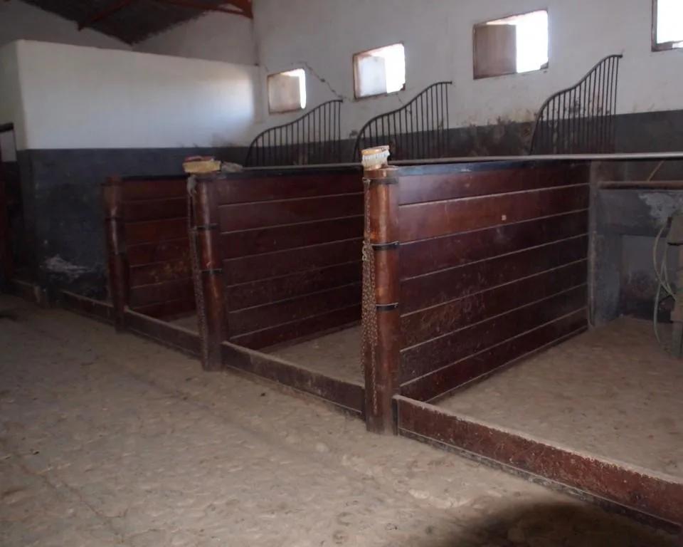 Casa en Venta en La Puebla de Cazalla