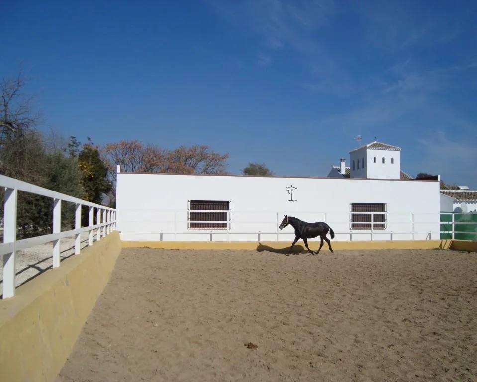 Casa en Venta en La Puebla de Cazalla