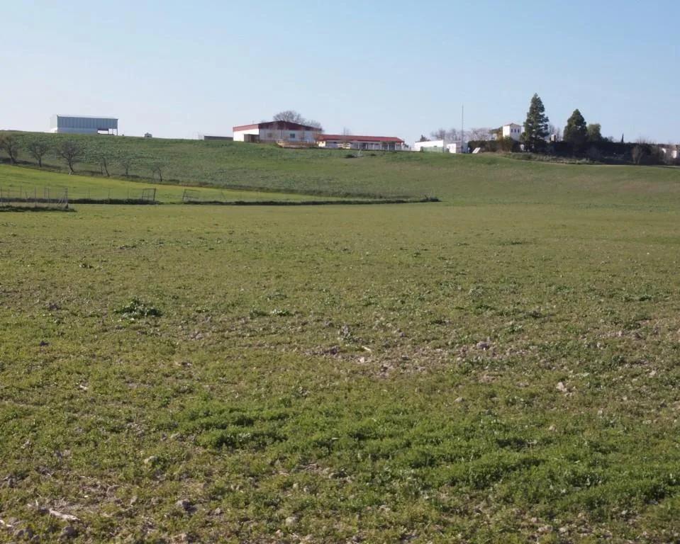 Casa en Venta en La Puebla de Cazalla