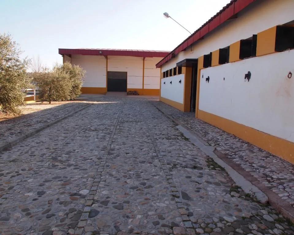 Casa en Venta en La Puebla de Cazalla