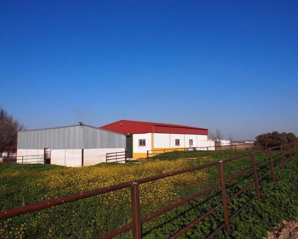 Casa en Venta en La Puebla de Cazalla