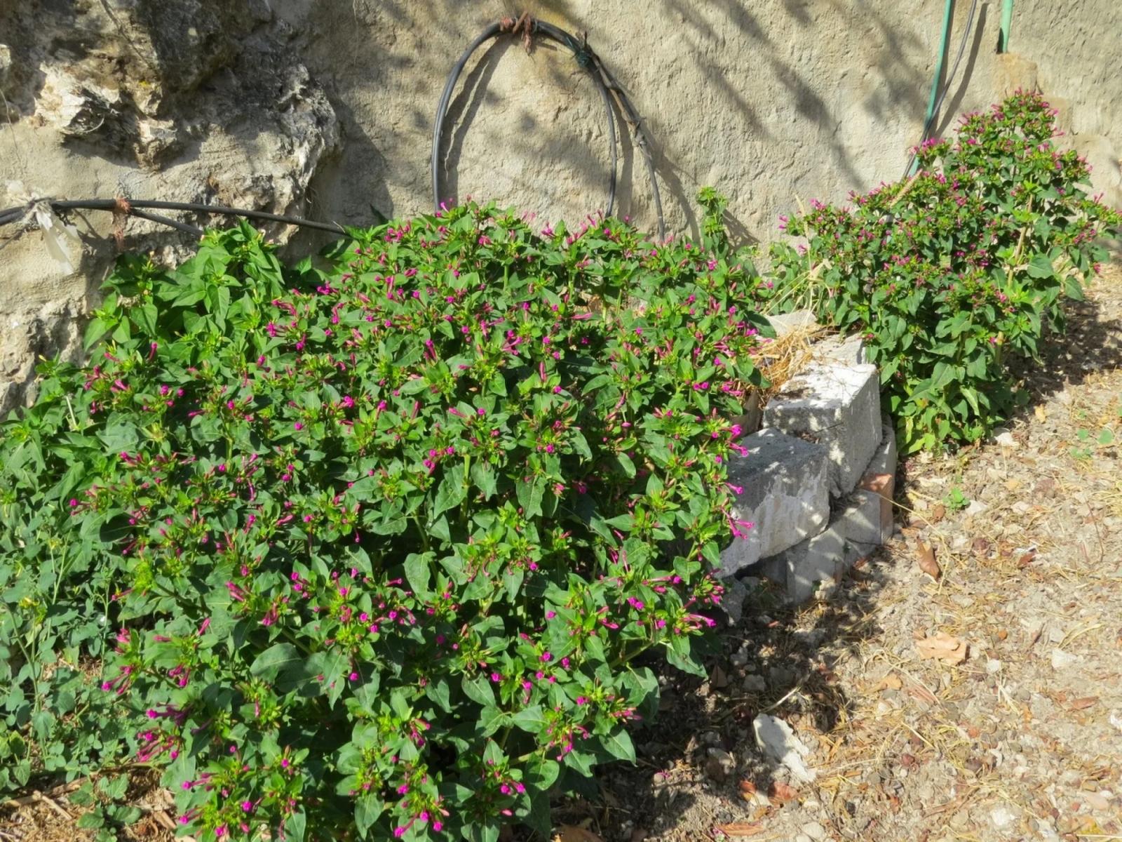 Casa en Venta en Alpujarra de la Sierra