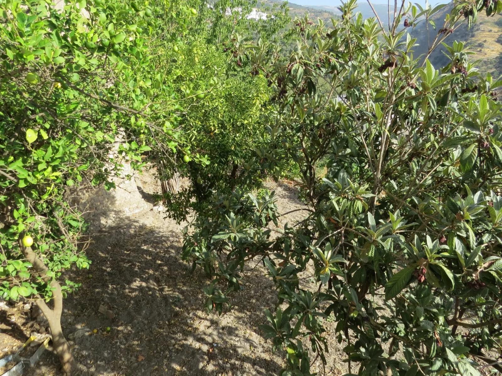 Casa en Venta en Alpujarra de la Sierra