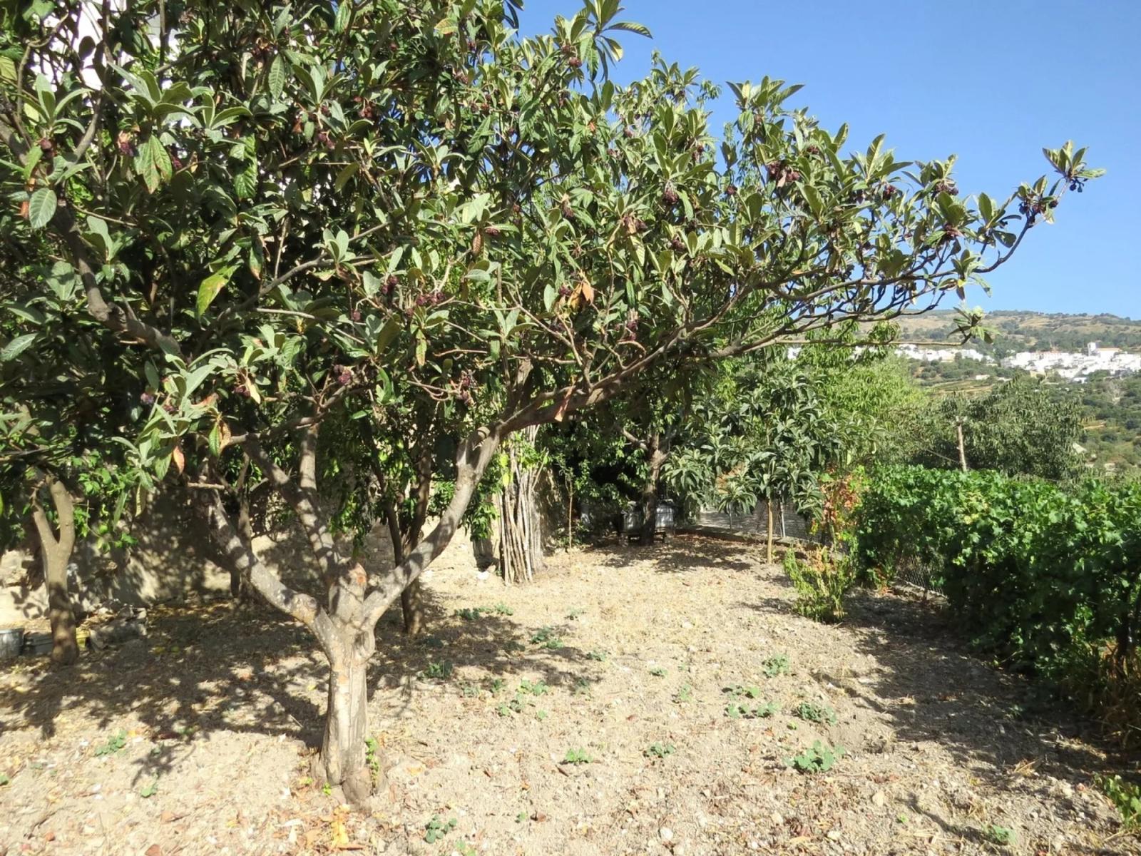 Casa en Venta en Alpujarra de la Sierra