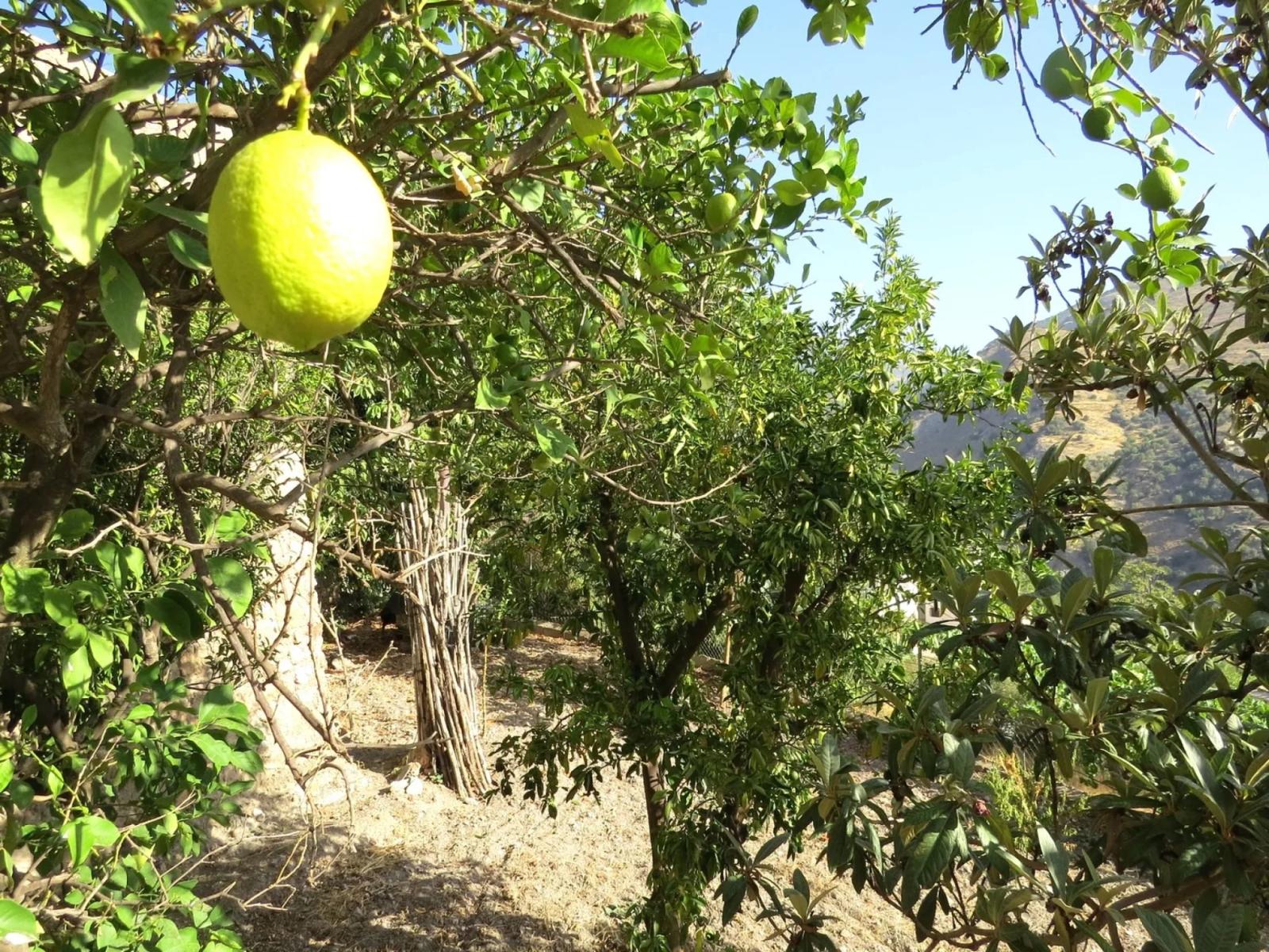 Casa en Venta en Alpujarra de la Sierra
