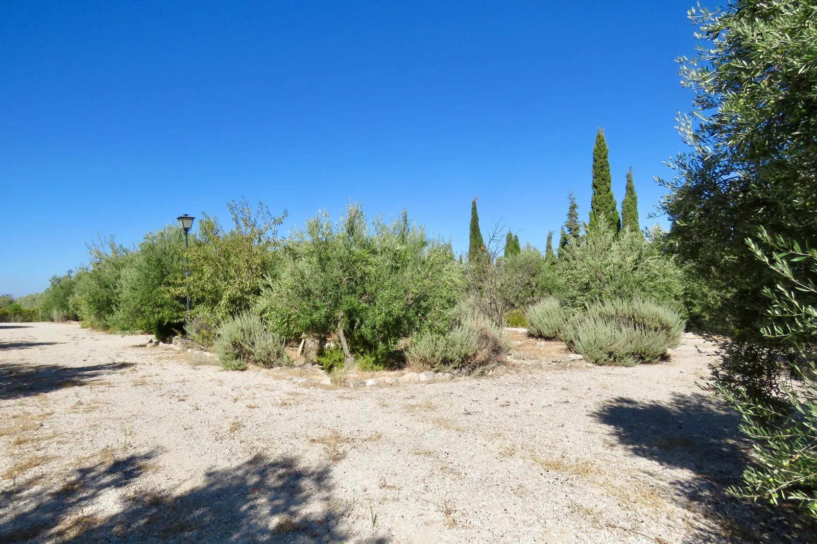 Casa en Venta en Osuna