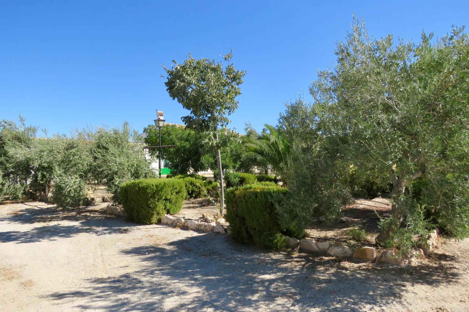 Casa en Venta en Osuna
