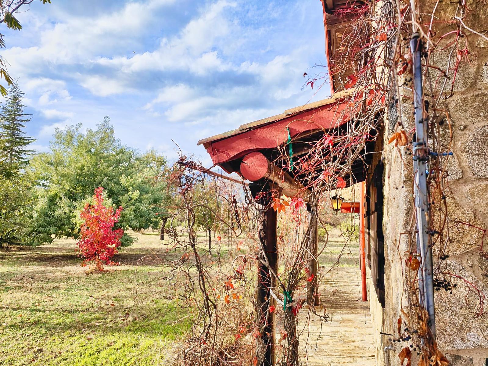 Casa en Venta en Villanueva de la Vera