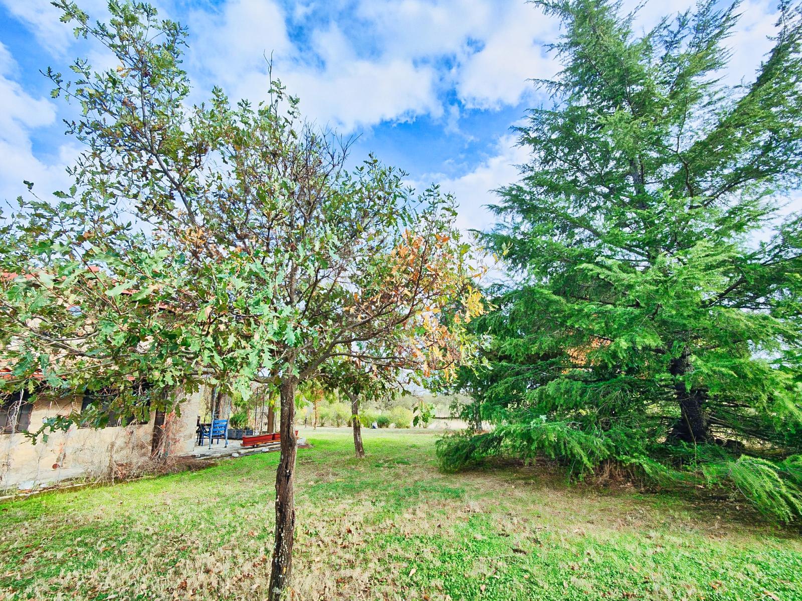 Casa en Venta en Villanueva de la Vera