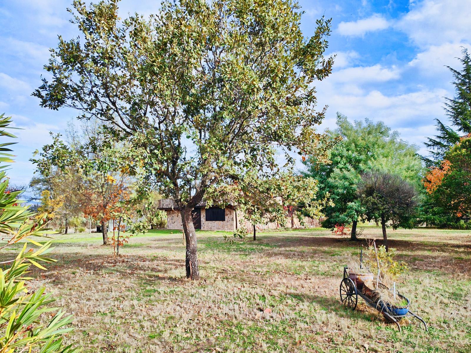 Casa en Venta en Villanueva de la Vera