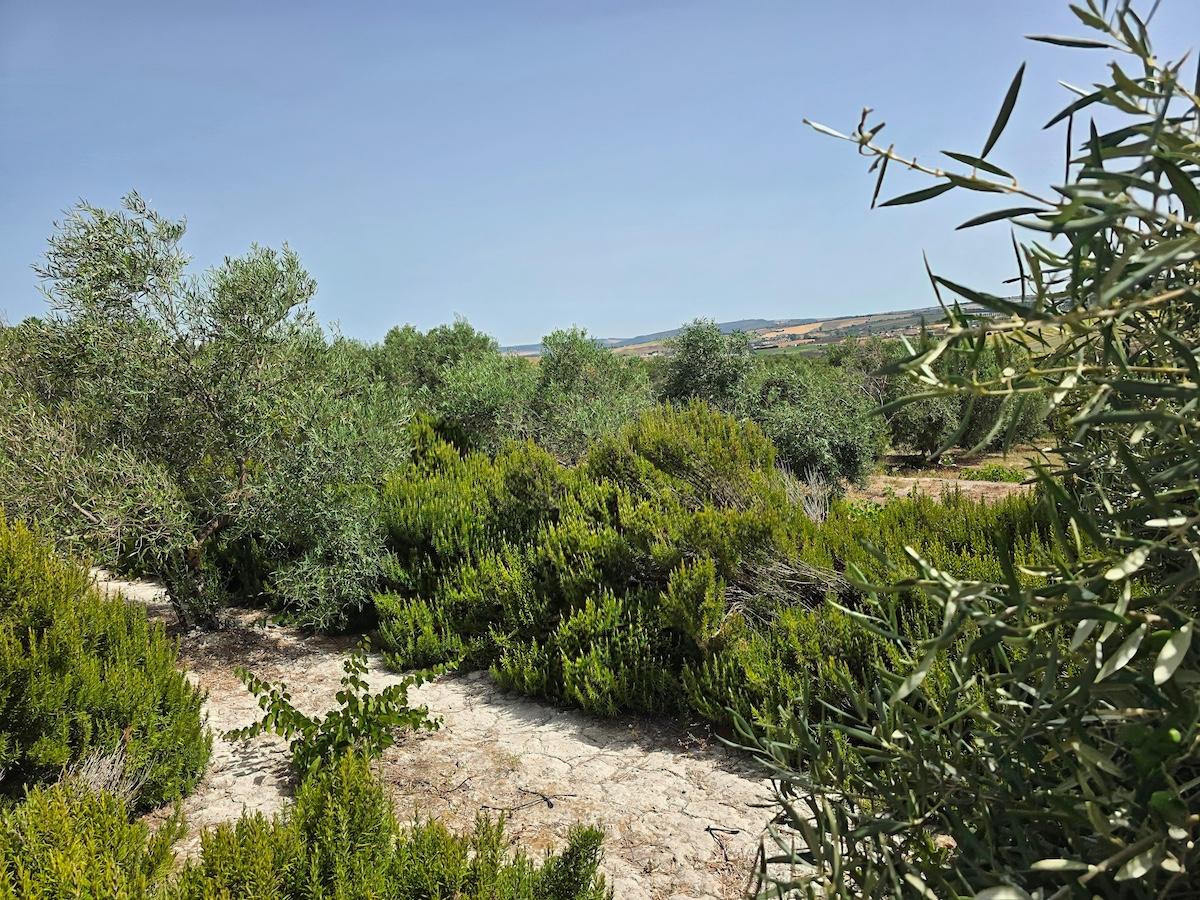 Casa en Venta en Arcos de la Frontera