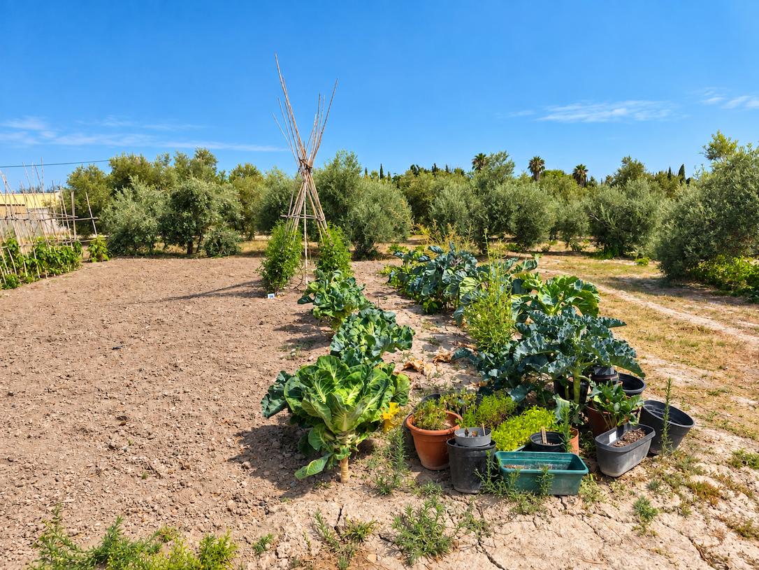 Casa en Venta en Arcos de la Frontera