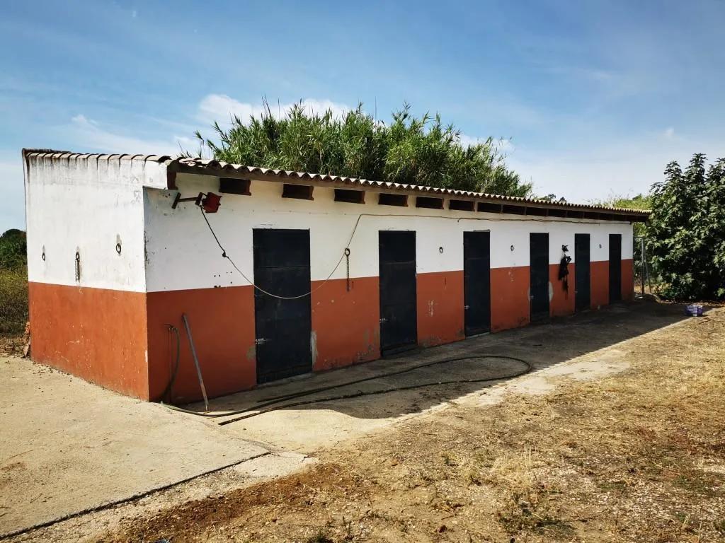 House for Sale in Cartaya