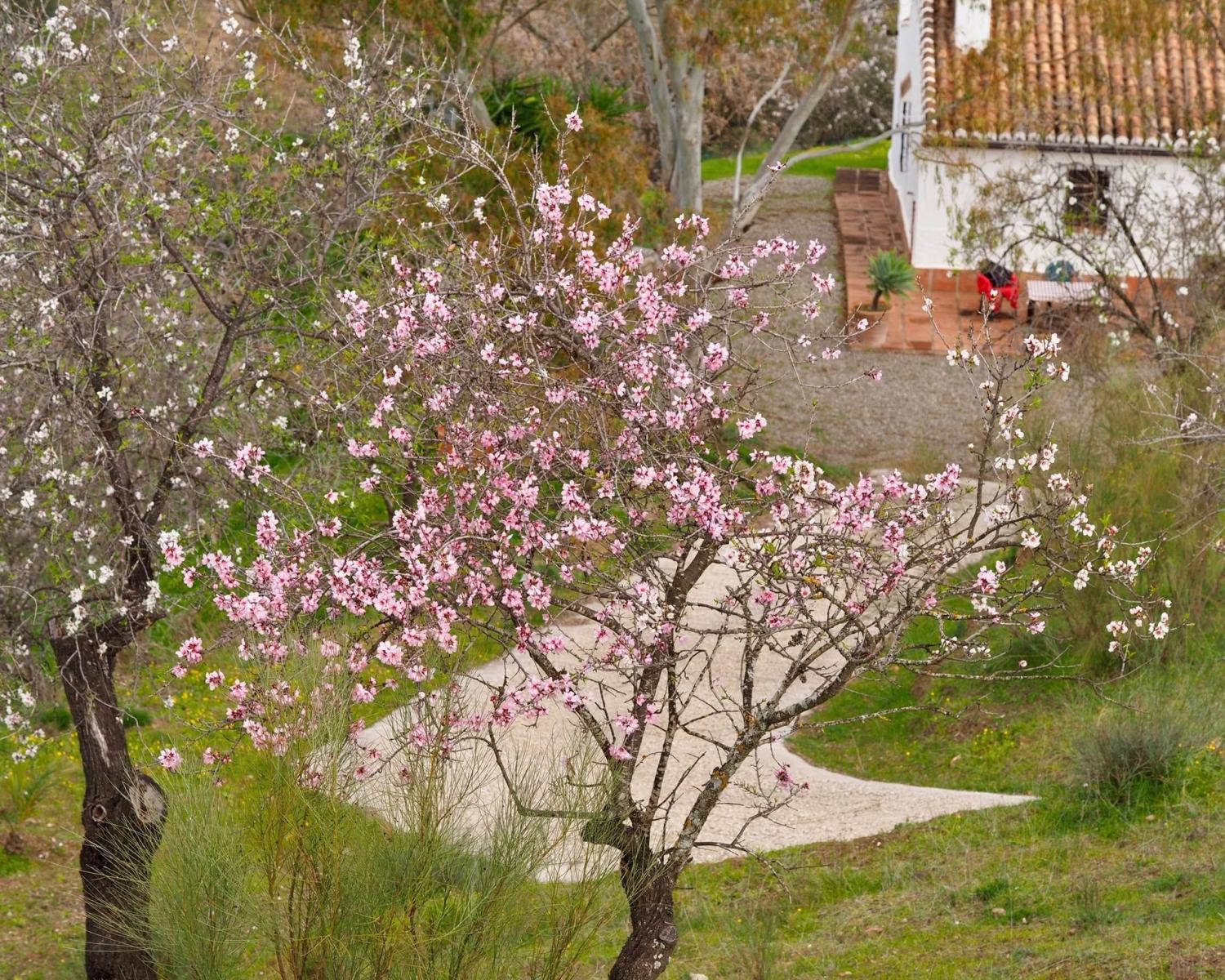 House for Sale in Álora