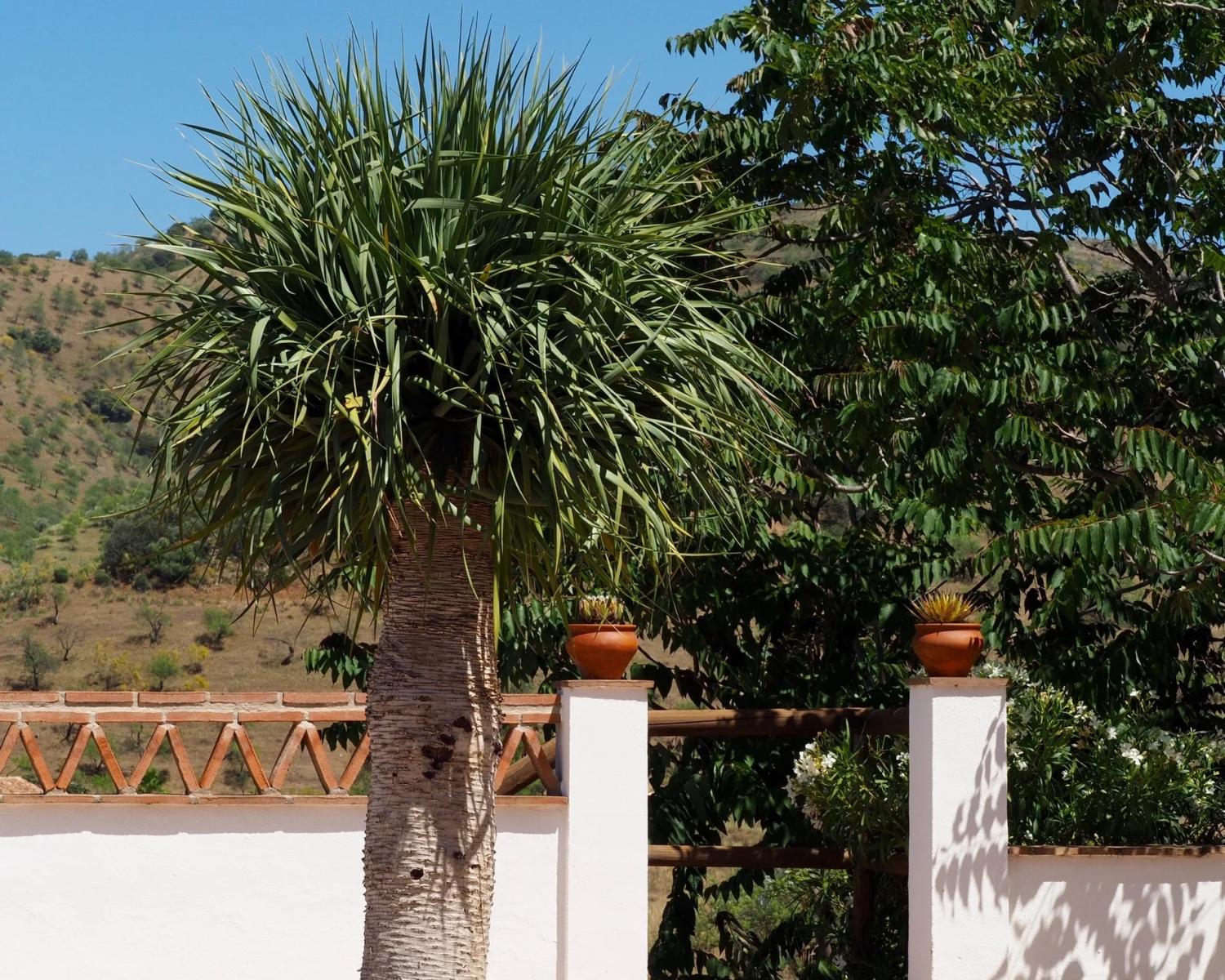 House for Sale in Álora