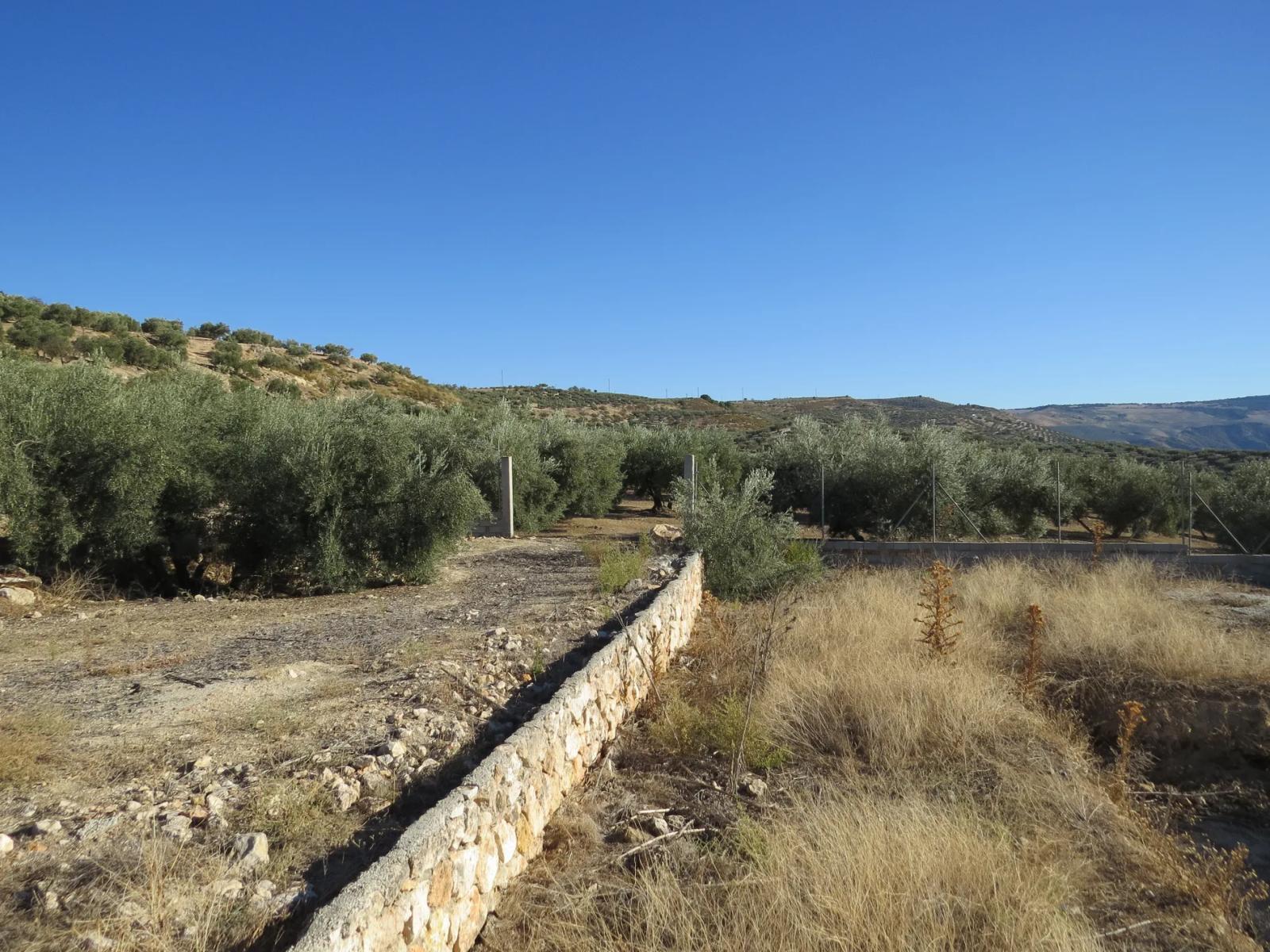 House for Sale in Salar