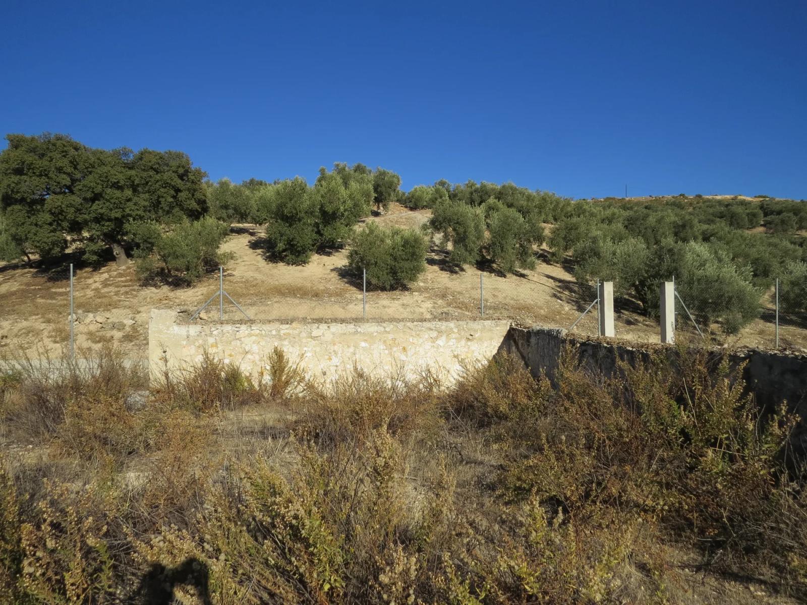 House for Sale in Salar