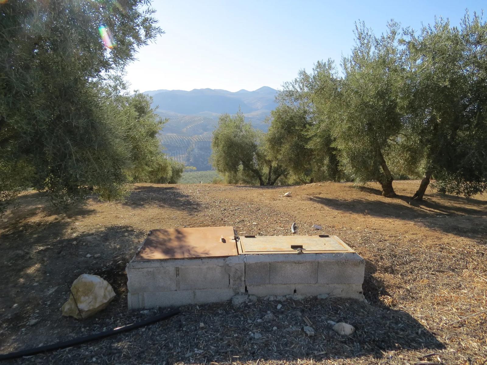 House for Sale in Salar