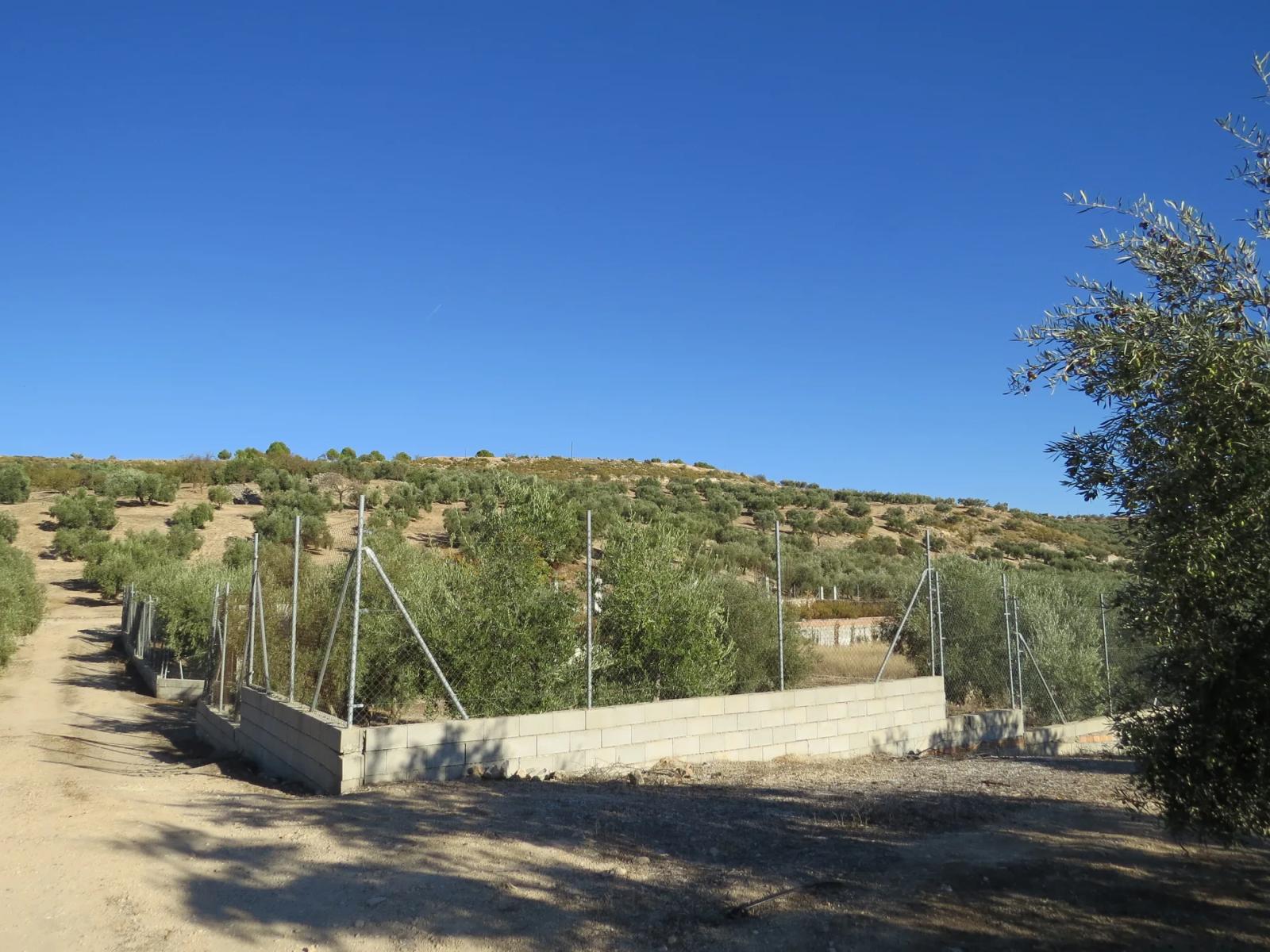 House for Sale in Salar
