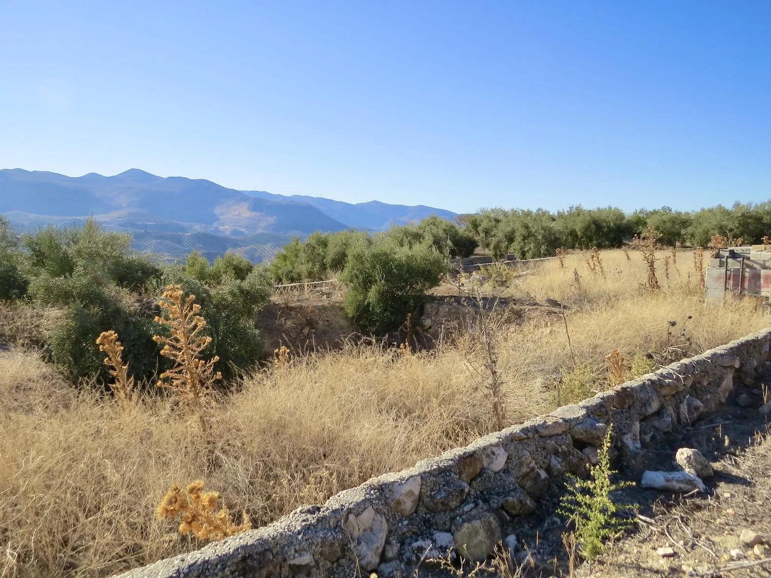 House for Sale in Salar