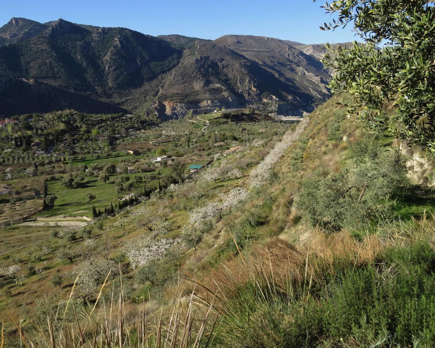 House for Sale in Güejar Sierra