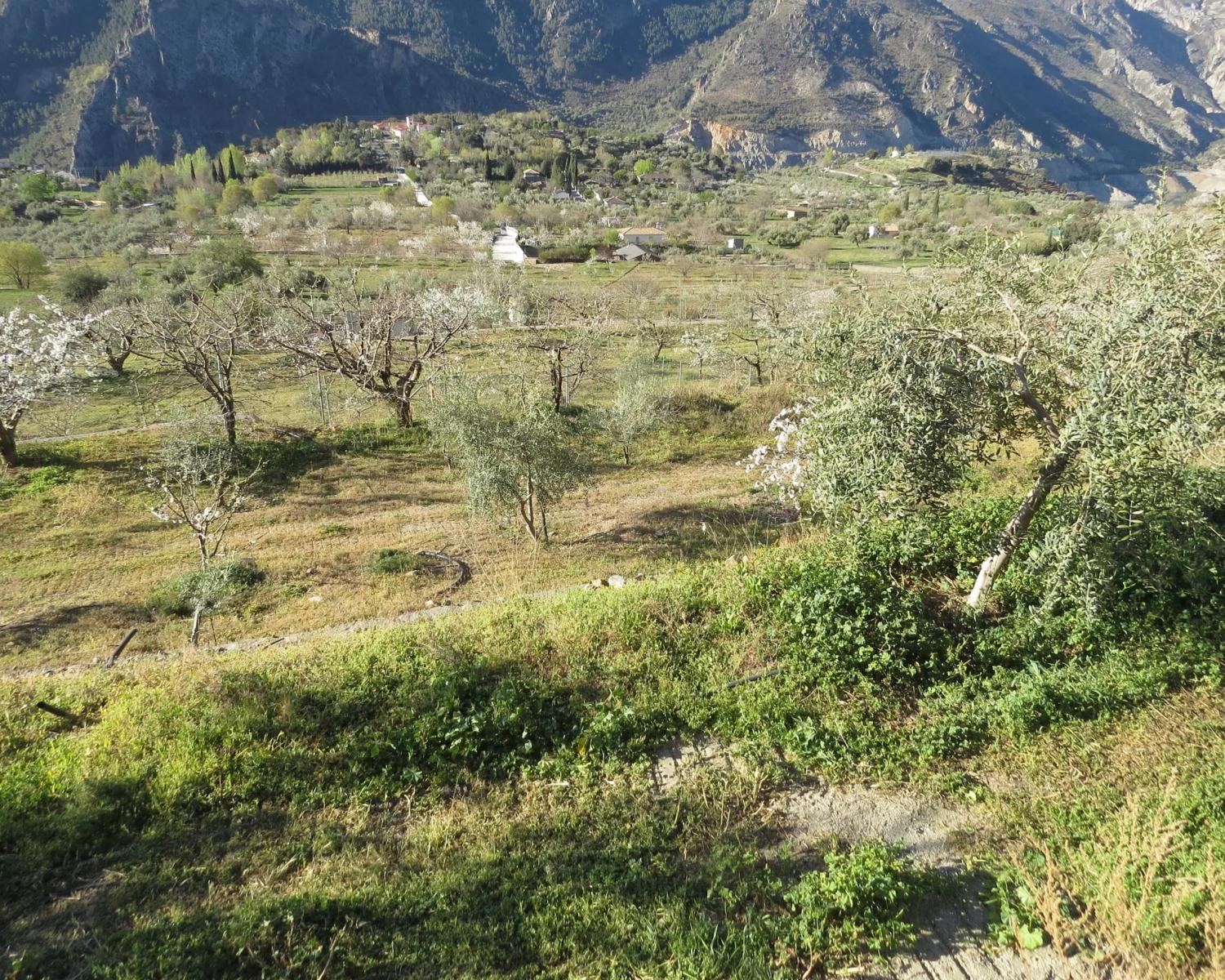 House for Sale in Güejar Sierra
