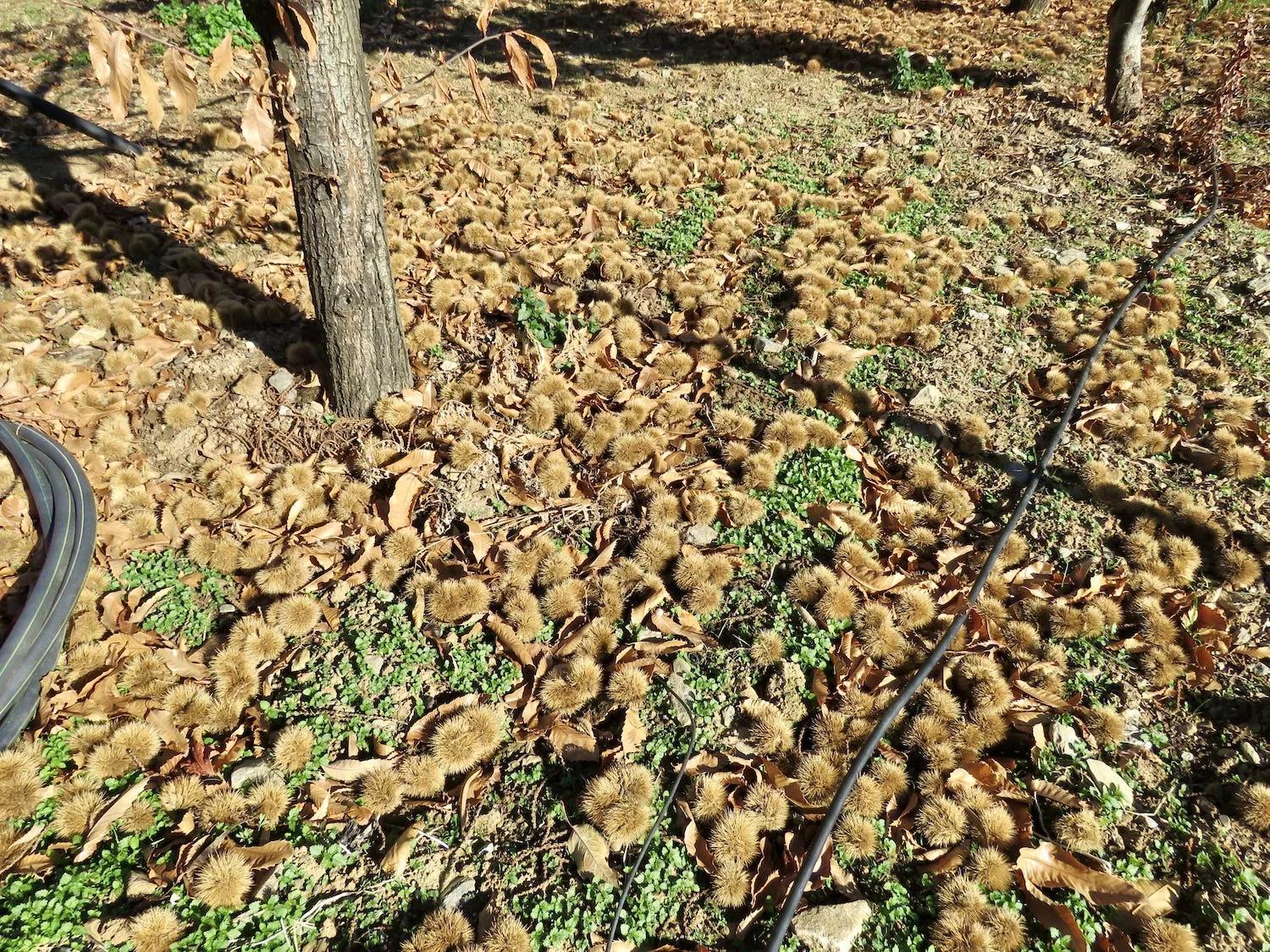 House for Sale in Güejar Sierra