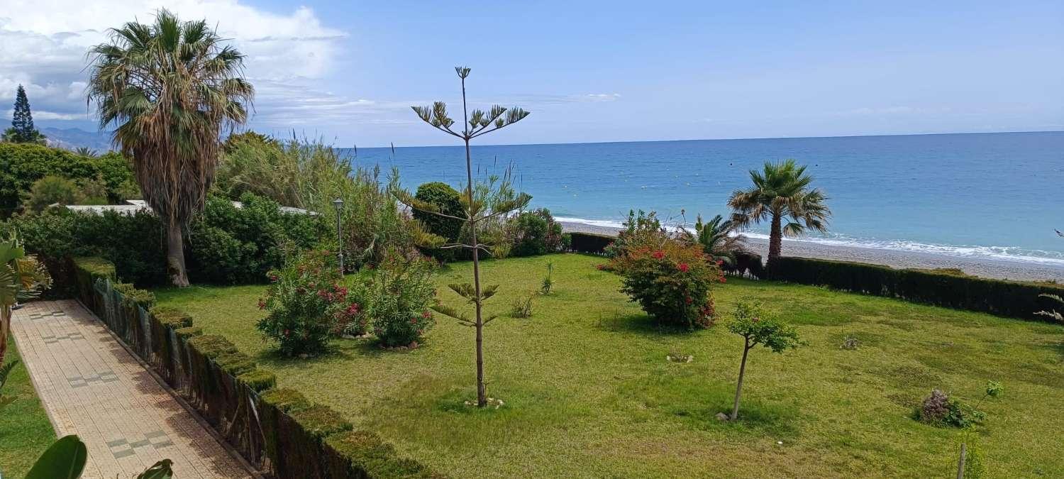 Apartment for Sale in Torrox