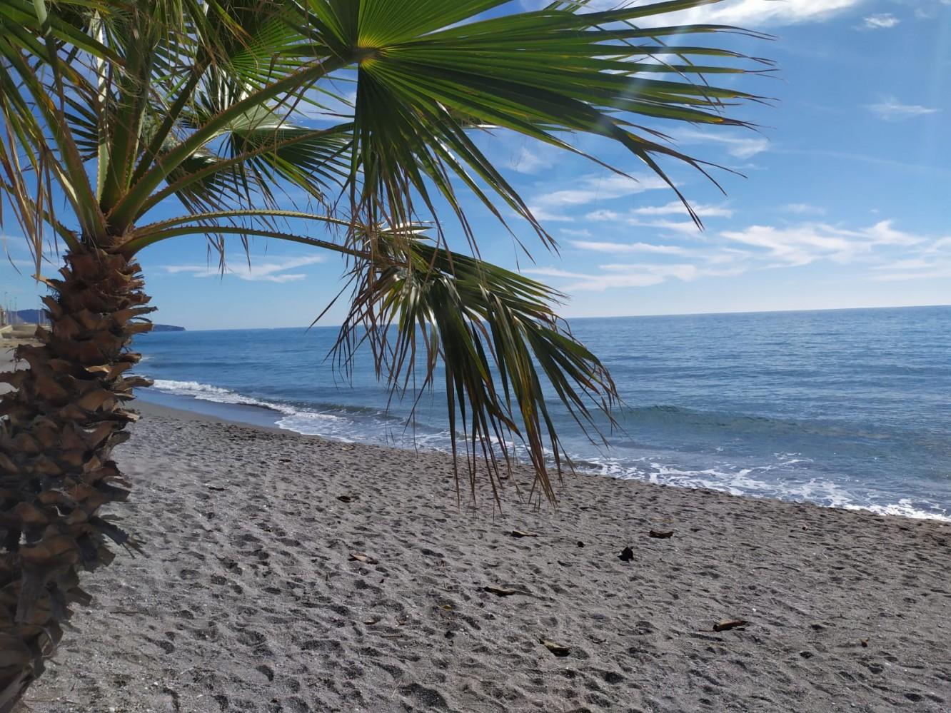 Apartment for Sale in Torrox