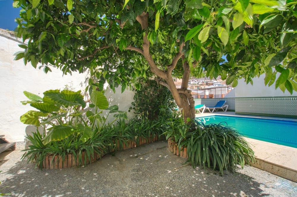 Adosado en Venta en Vélez-Málaga