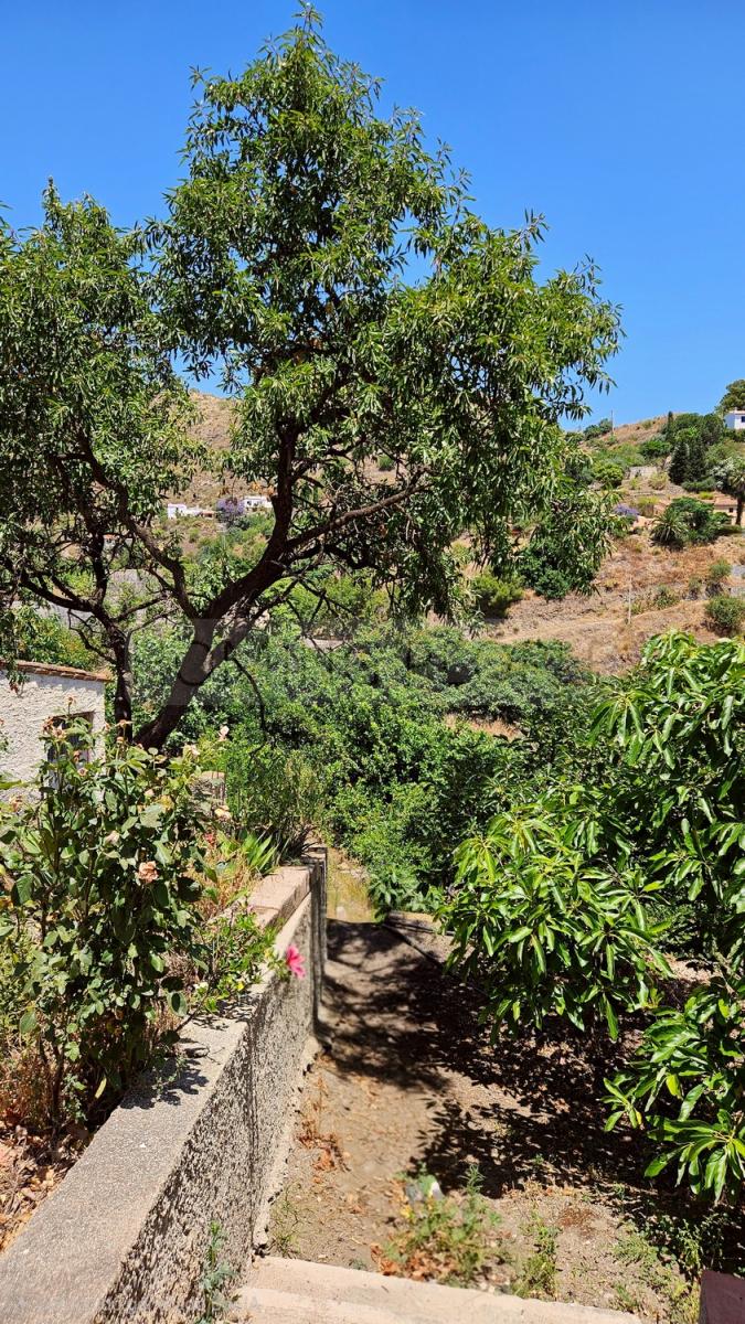 House for Rent in Almuñécar