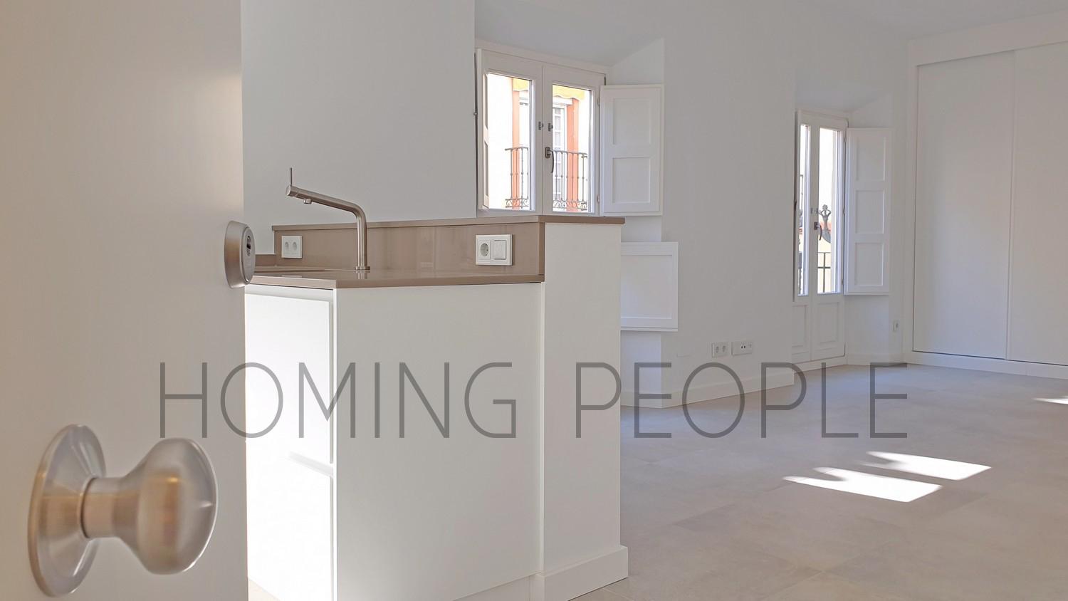 Flat for Rent in Málaga