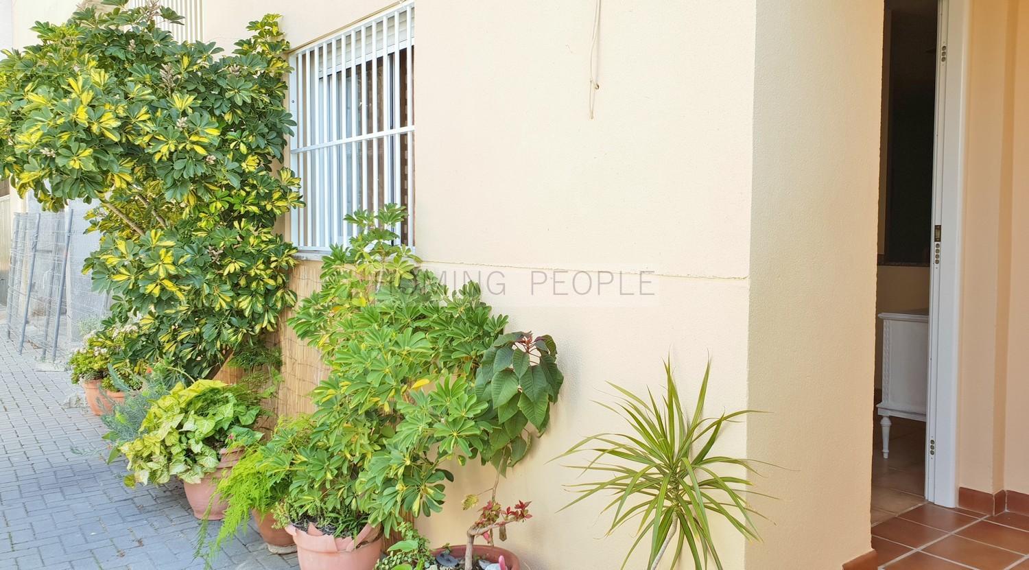Apartment for Rent in Almuñécar