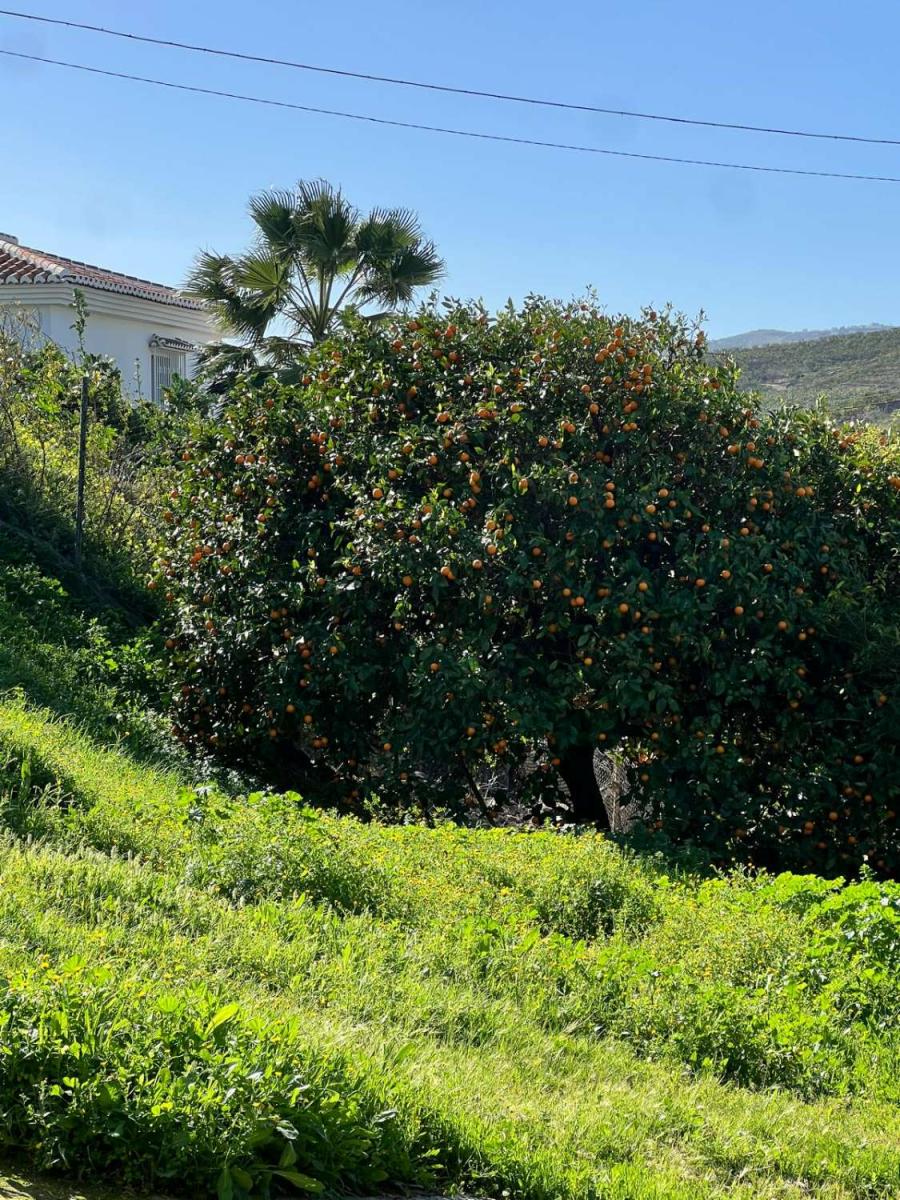 Country Property for Sale in Vélez-Málaga