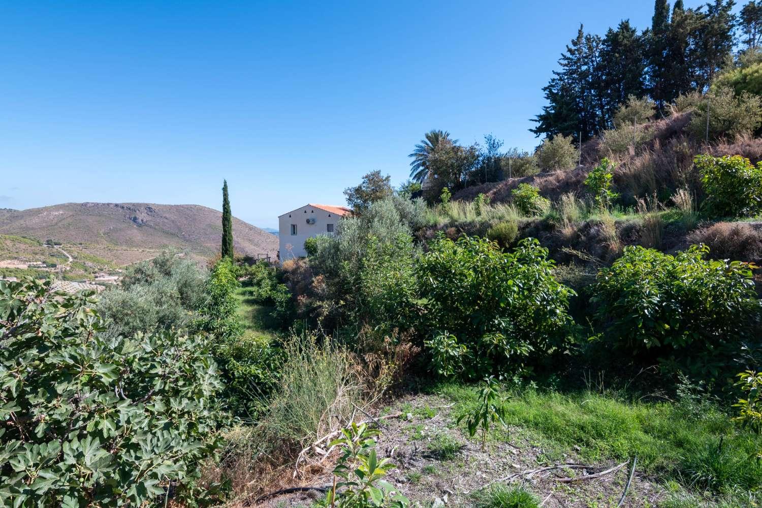 House for Sale in Molvízar