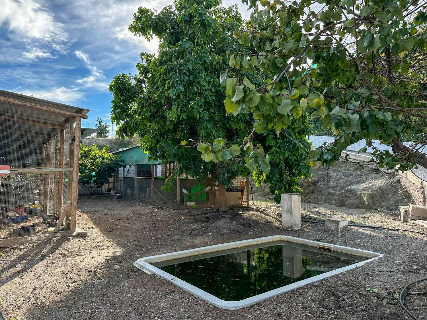 House for Sale in Salobreña