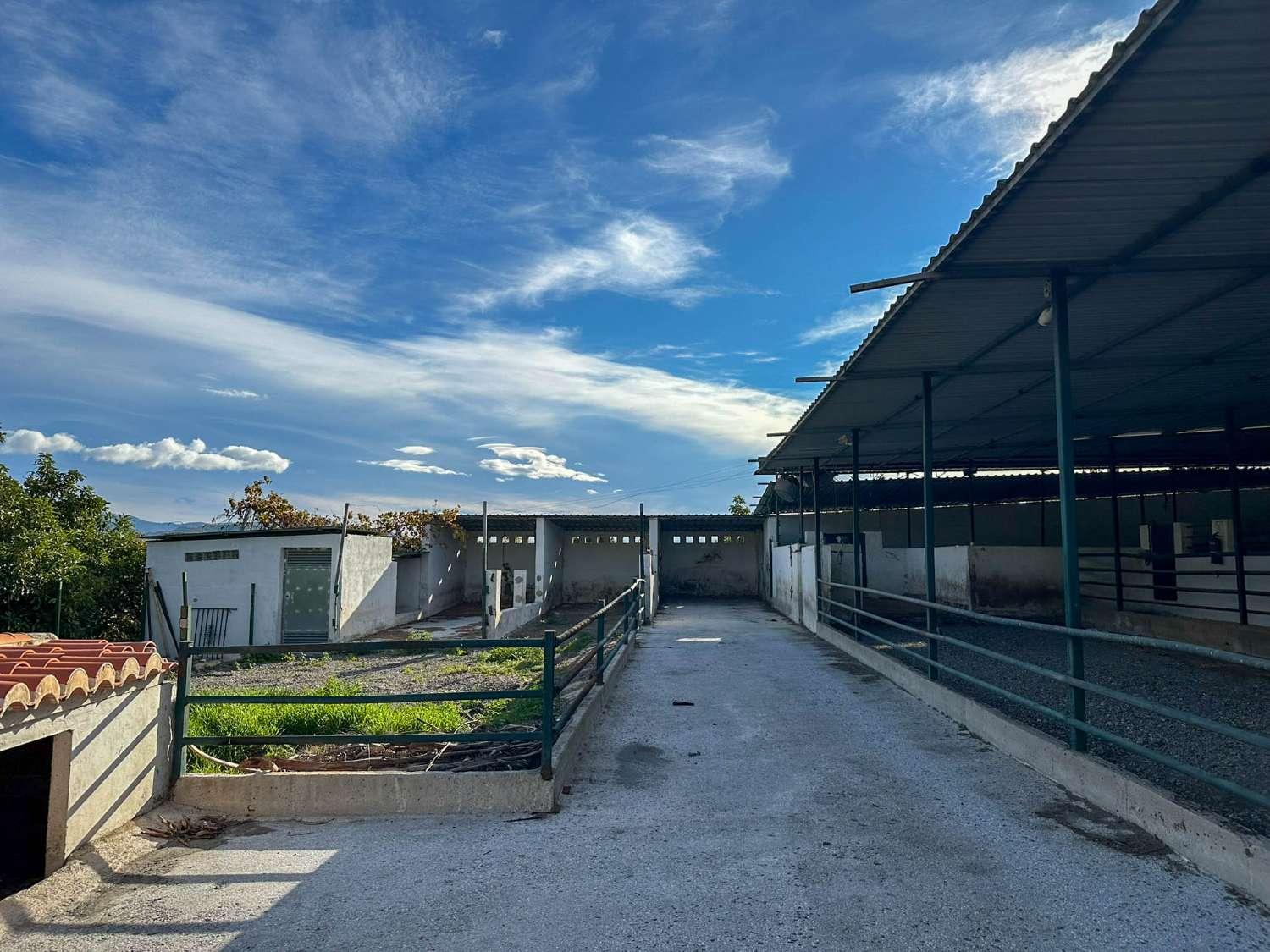 House for Sale in Salobreña