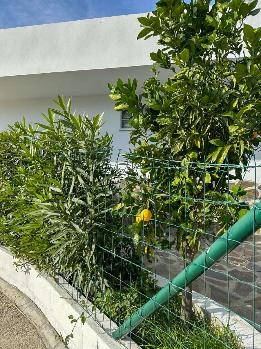 House for Sale in Salobreña