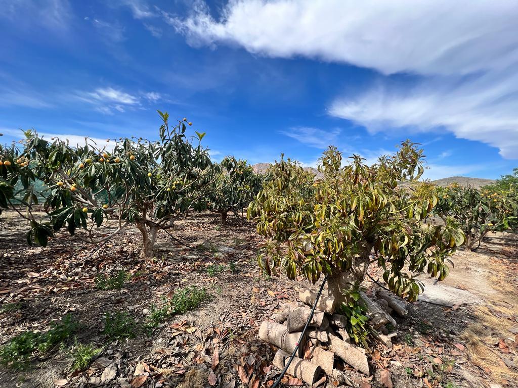 House for Sale in Salobreña
