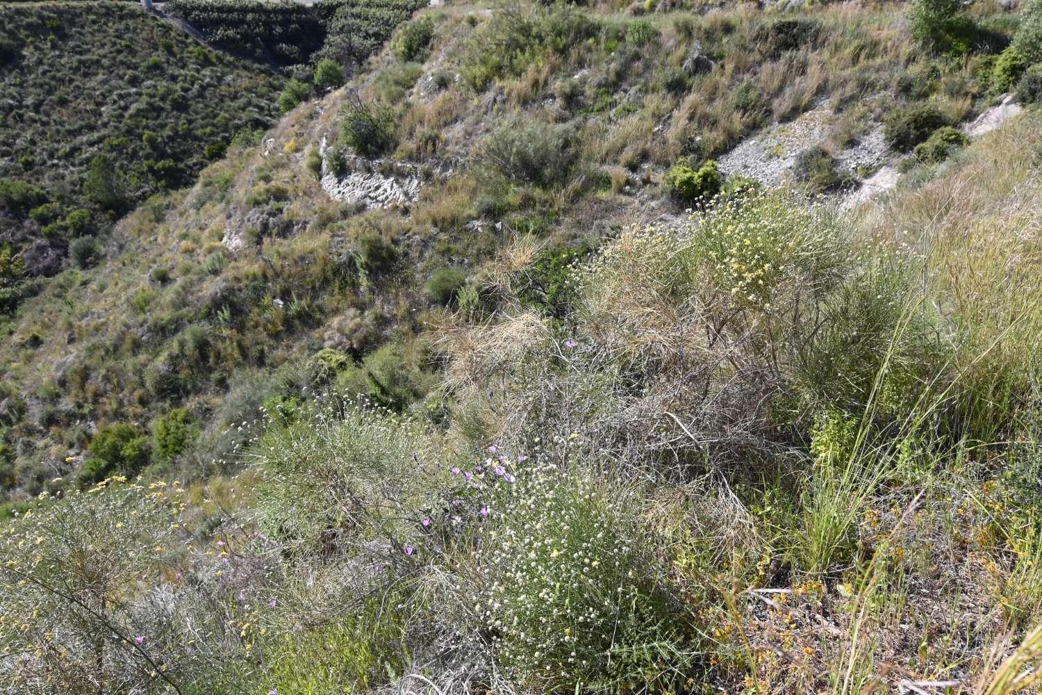 Plot for Sale in Salobreña