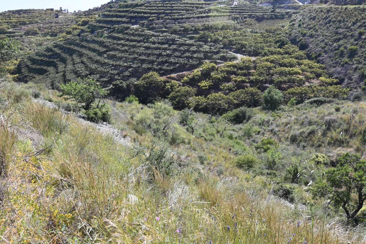 Plot for Sale in Salobreña