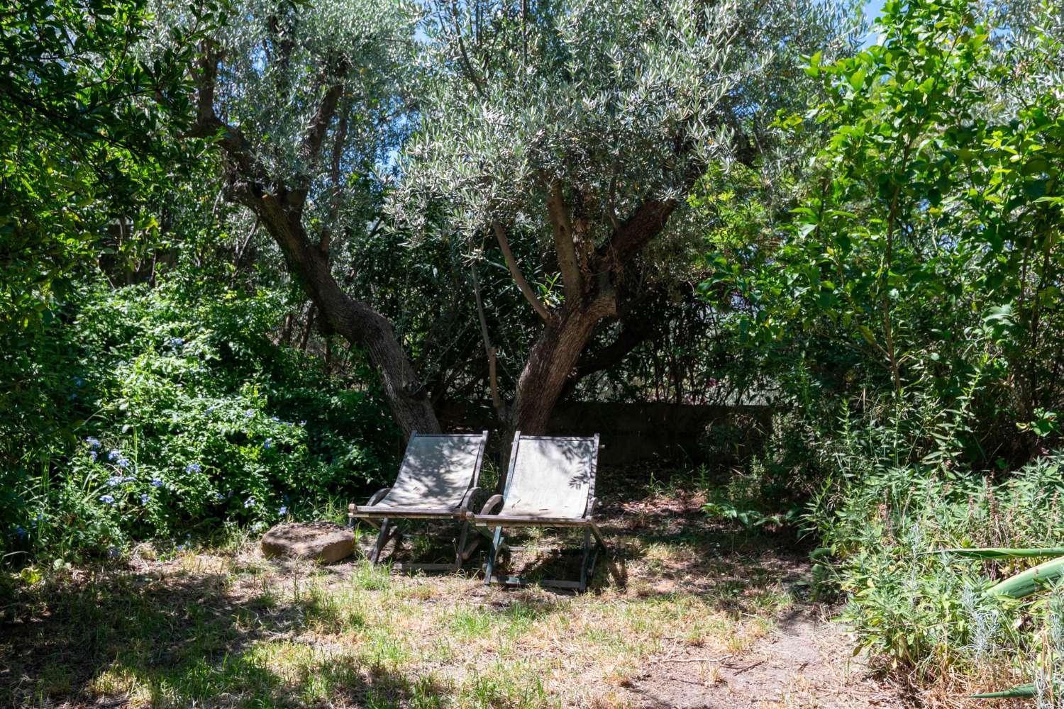House for Sale in Lecrín