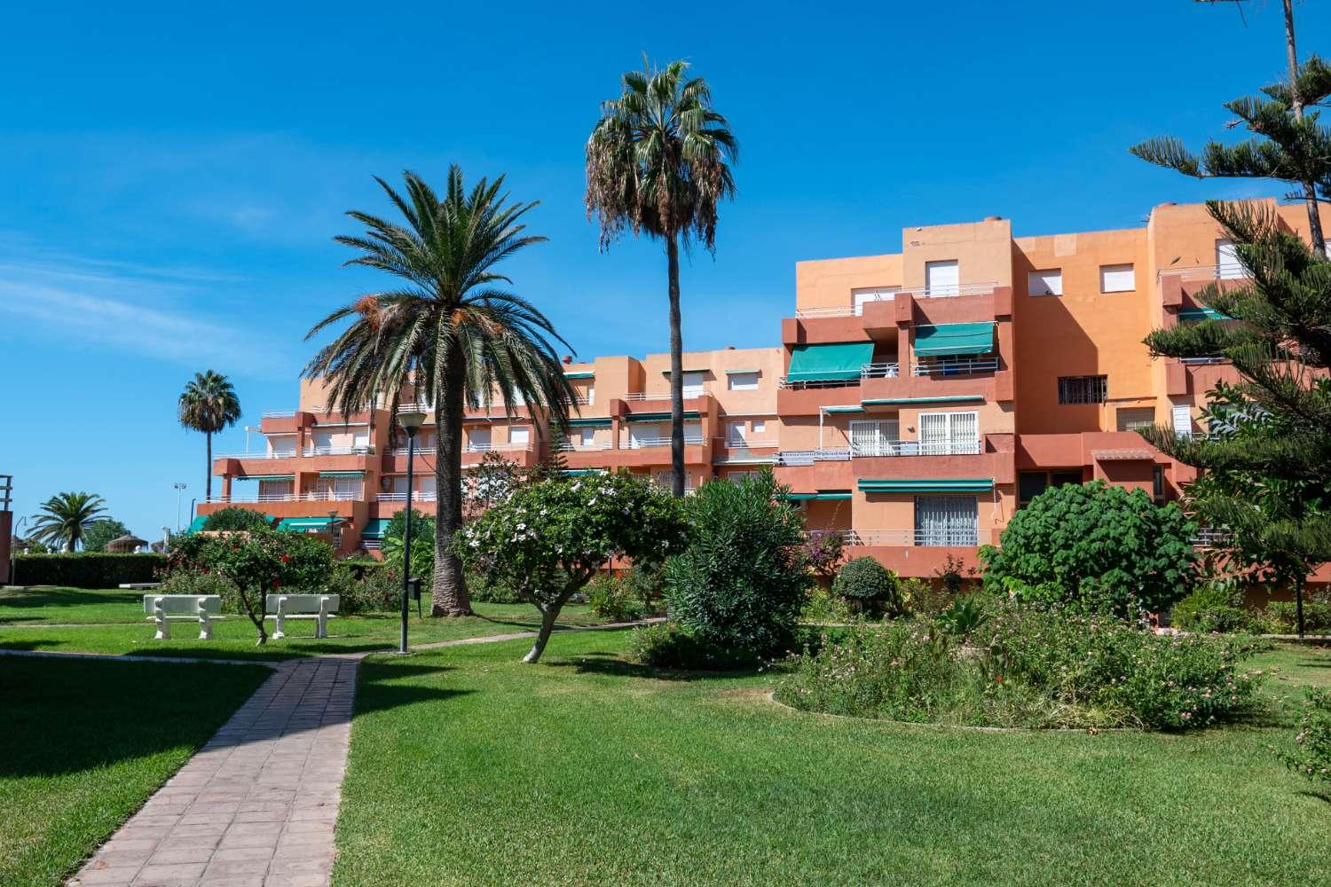 Apartment for Rent in Salobreña