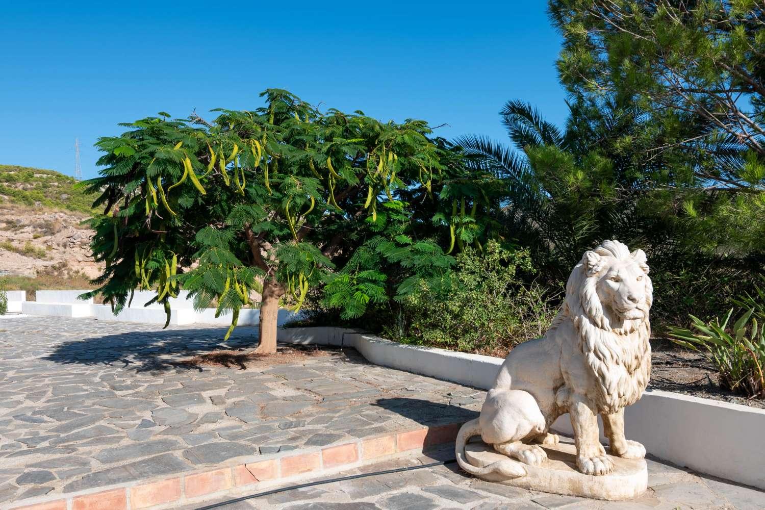 Villa for Sale in Molvízar