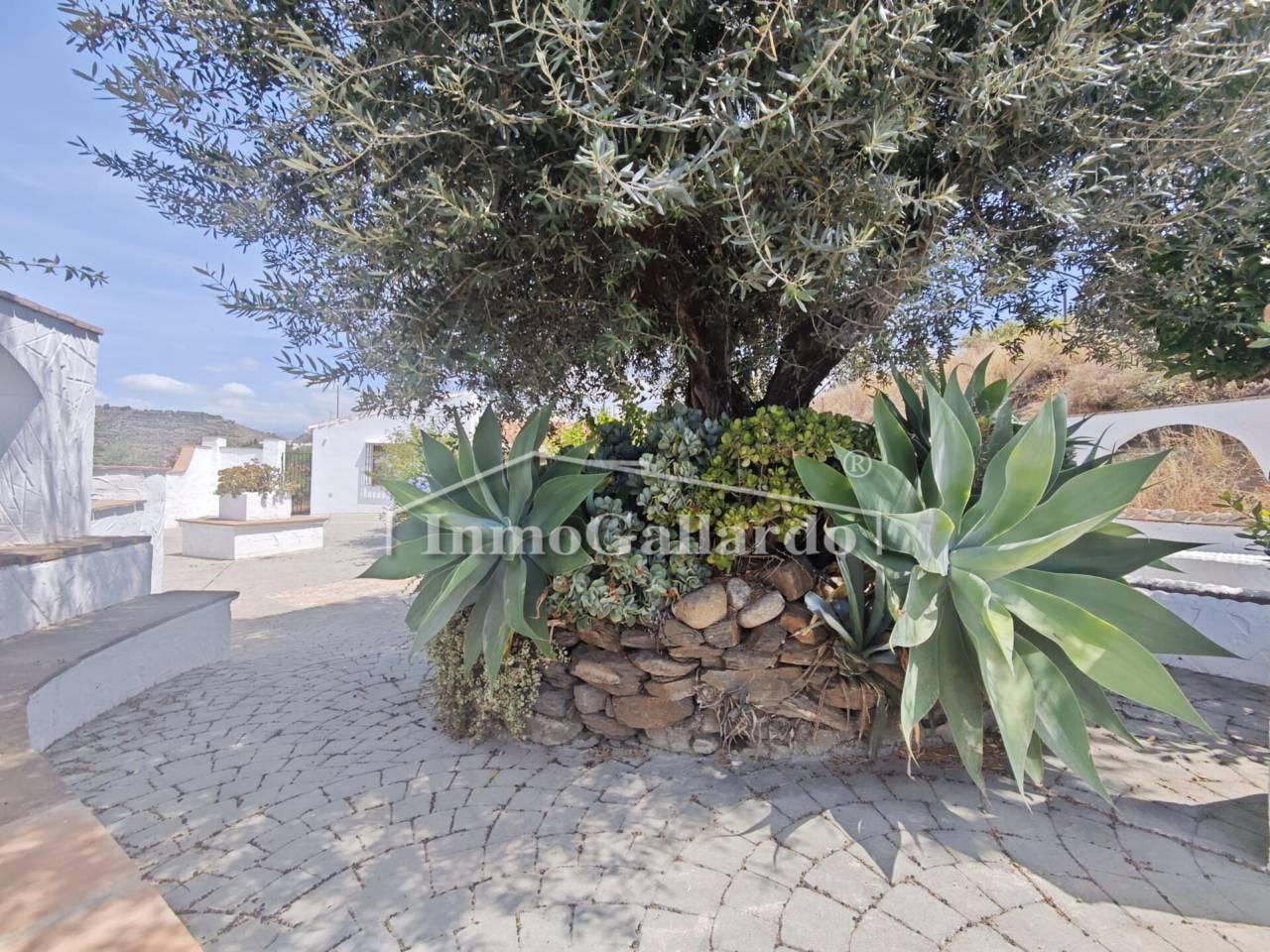 Chalet for Sale in Viñuela