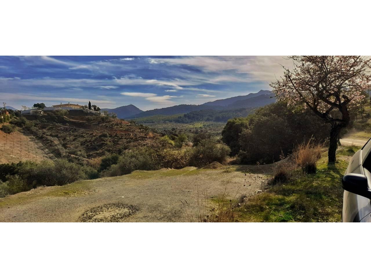 Building Site for Sale in Monda