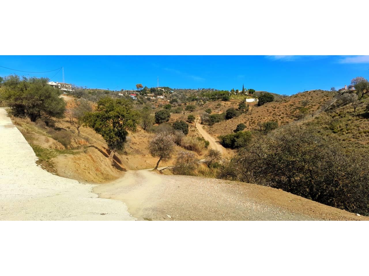 Building Site for Sale in Monda