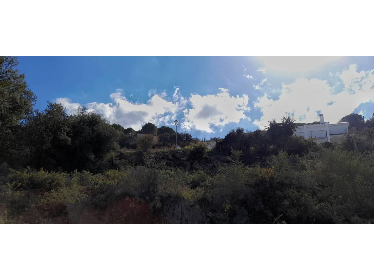 Building Site for Sale in Monda