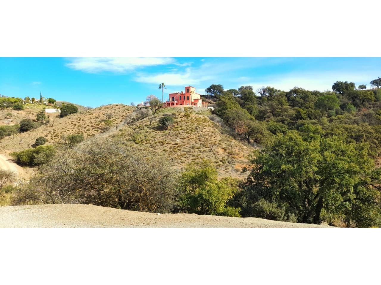 Building Site for Sale in Monda