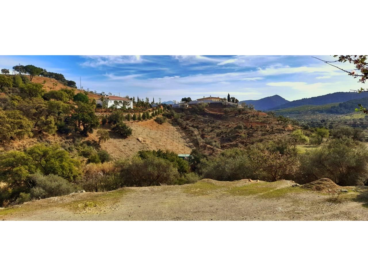 Building Site for Sale in Monda